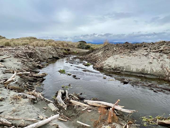 Views of the cleared stream with driftwood banked either side. 
