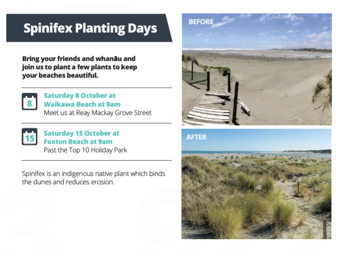 Spinifex plantings dates poster. 