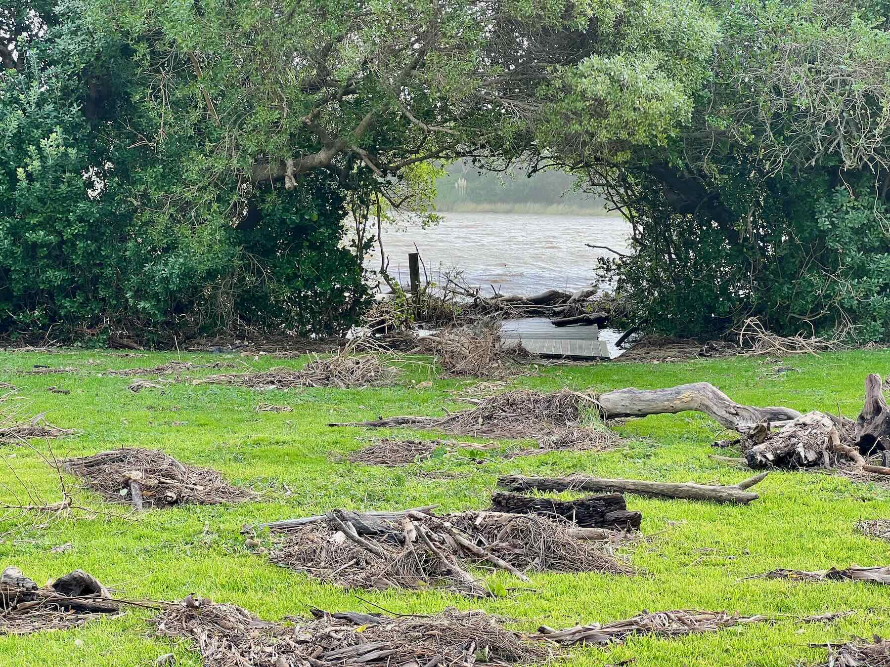Wider view of driftwood on the grass with very high river in background. 